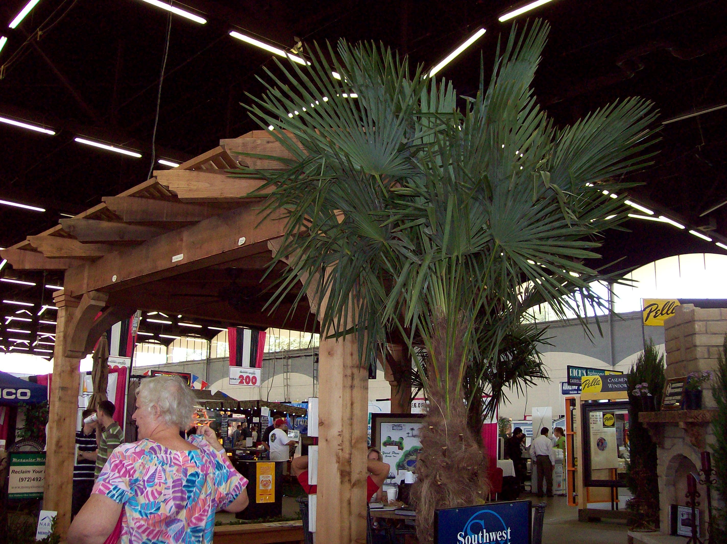Walkway Arbor